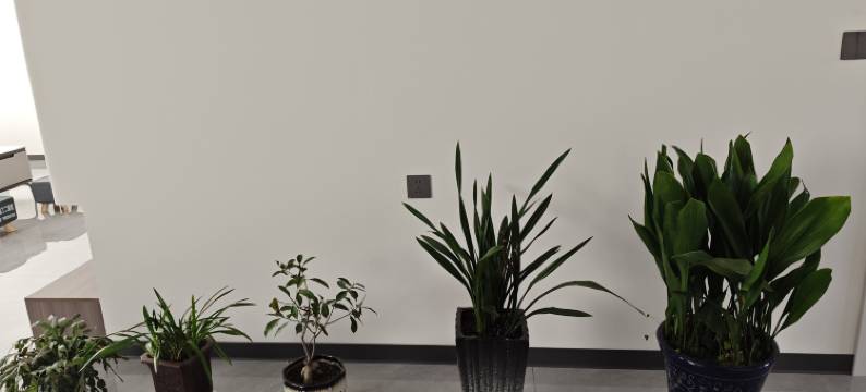 田园风光民宿(兴化兴东镇店)图片