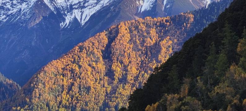 雅鲁仙居(雅鲁藏布大峡谷店)图片