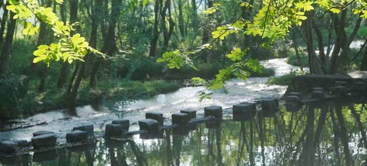 黄山荷田里酒店图片