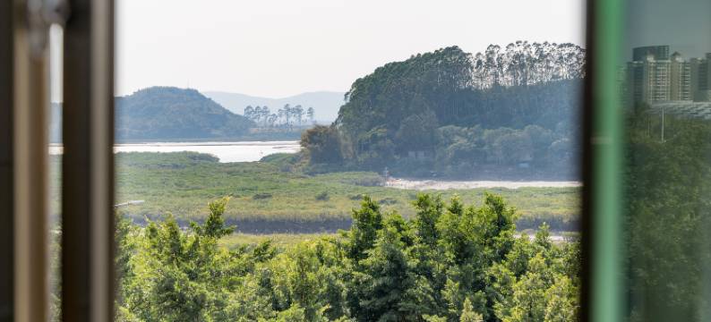 瑞祥海景酒店(防城港国贸中心广场店)图片
