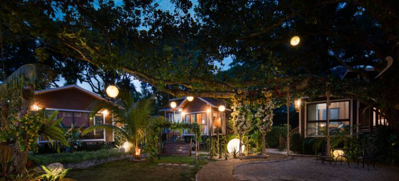 栖野温林花园民宿(万宁神州站店)图片