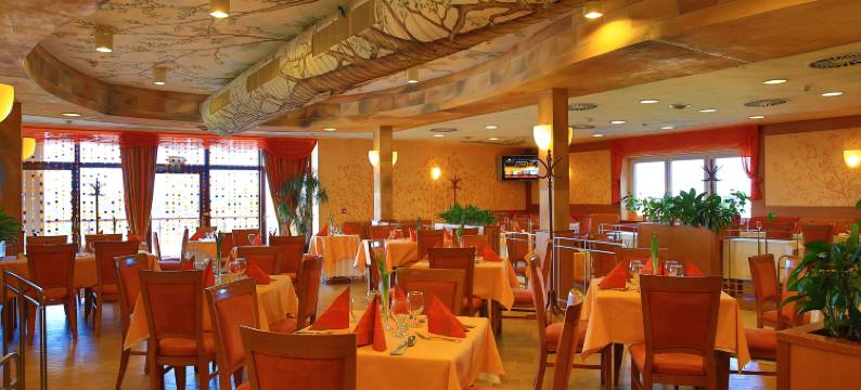 普利马维拉酒店及会议中心(Primavera Hotel & Congress Centre)图片