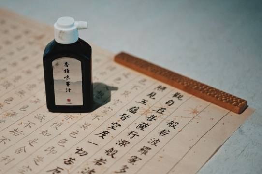 日喀则十里芳菲夏宫疗愈酒店图片