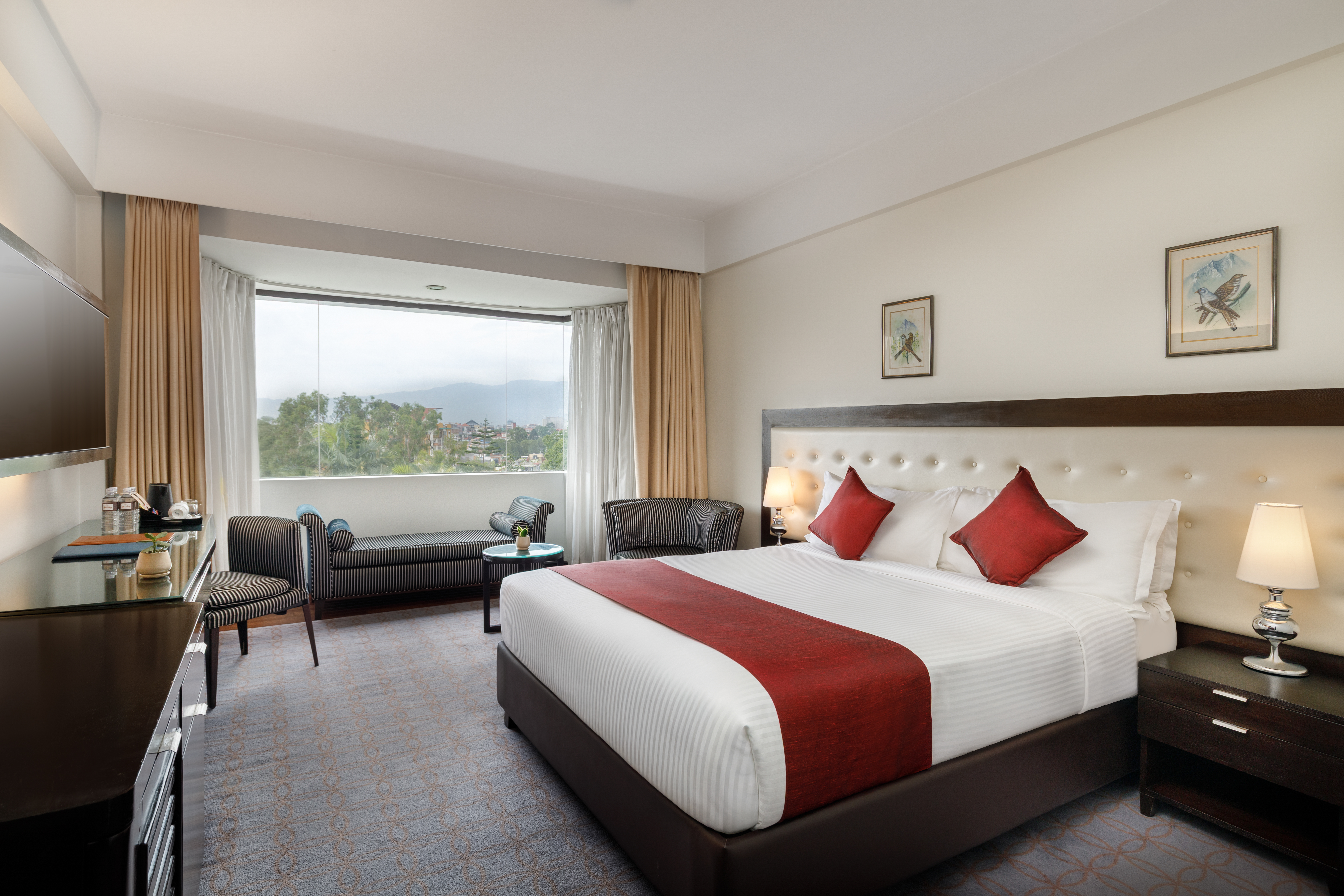 Hotel HimalayaOver view