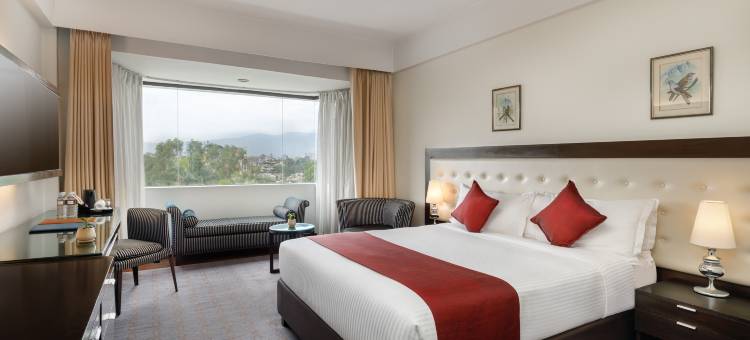 喜马拉雅饭店(Hotel Himalaya)图片