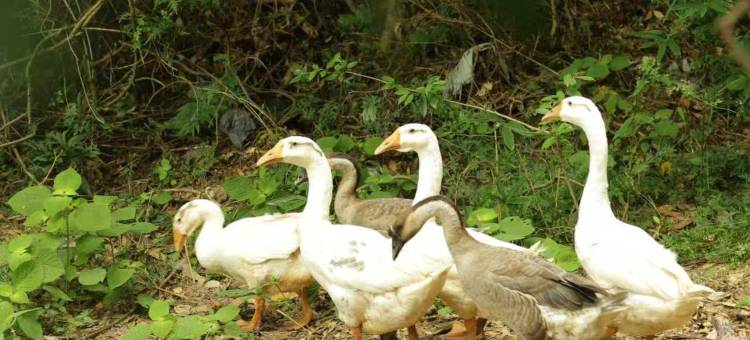 景德镇开元名庭大酒店图片