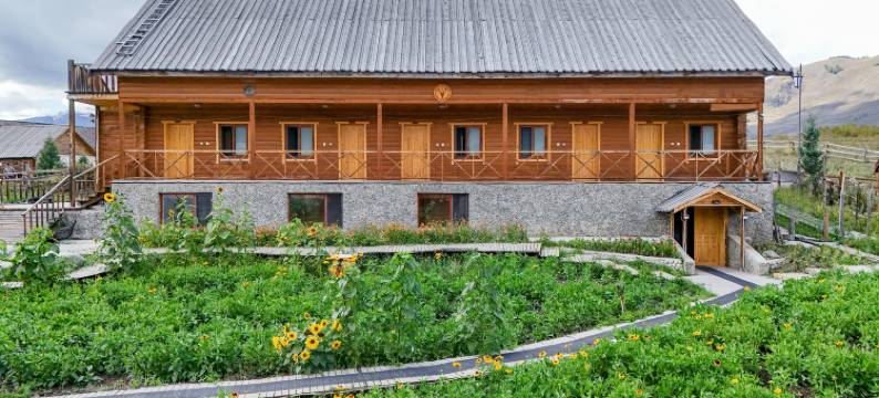 禾木嘉禾神木度假山庄图片