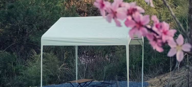 逆光度假民宿(皖南川藏线店)图片