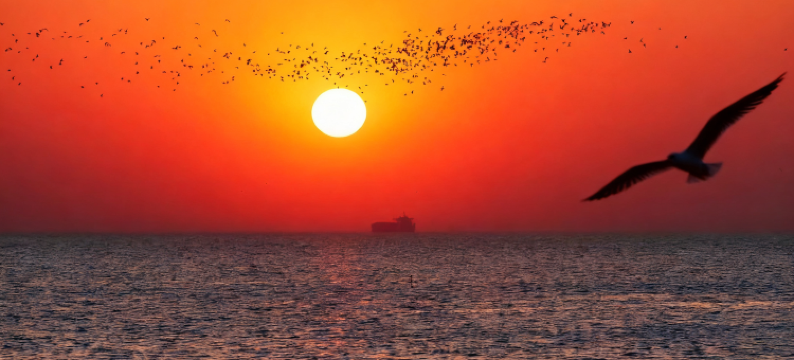 海天一色拾贝湾海景日出亲子酒店(鸽子窝碧螺塔店)图片