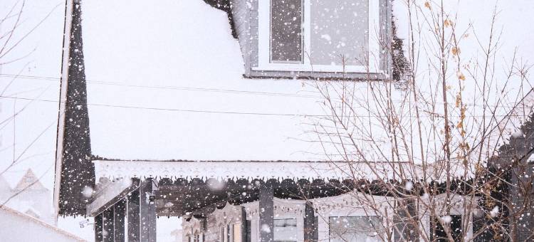 大列巴花庄园(额尔古纳恩和俄罗斯民族乡店)图片