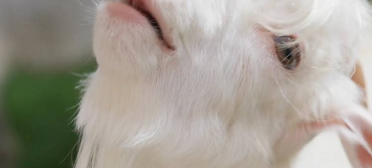 贵阳铂尔曼大酒店(甲秀楼鸿通城购物中心店)图片