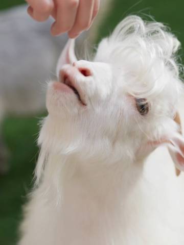 贵阳雅高铂尔曼大酒店(甲秀楼鸿通城购物中心店)图片