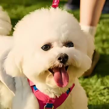 如家精选酒店(太原站西广场朝阳街店)图片