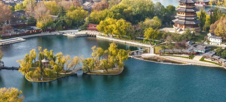 清照泉城蒲公酒店(明水古城店)图片