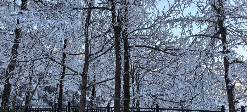 花筑·庐山山水语筑民宿(庐山山上小天池店)图片
