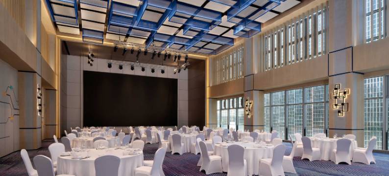 上海虹桥雅乐轩酒店图片