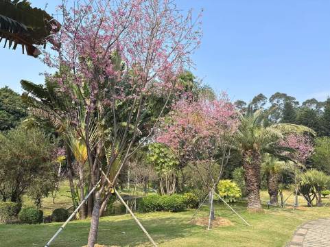 厦门悦华酒店(华荣路地铁站店)图片