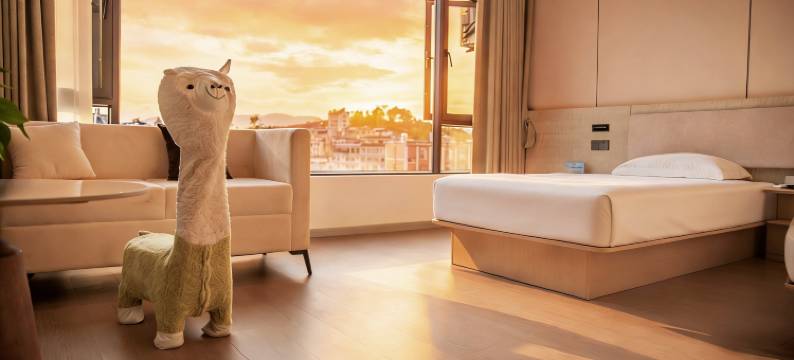 普洱云康酒店(茶马古城店)图片