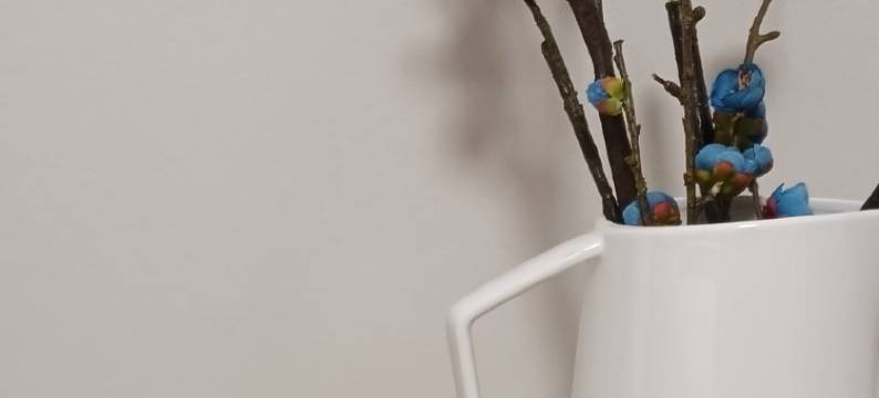 星河之旅民宿图片