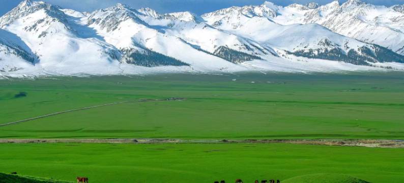 那拉提荣强农家乐图片