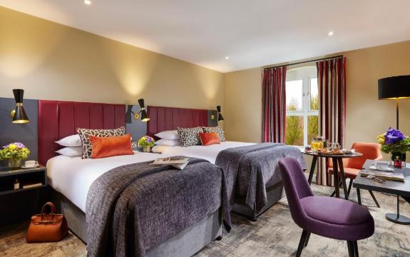 Shannon Springs HotelHotel Overview