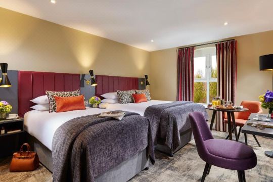 Shannon Springs HotelHotel Overview