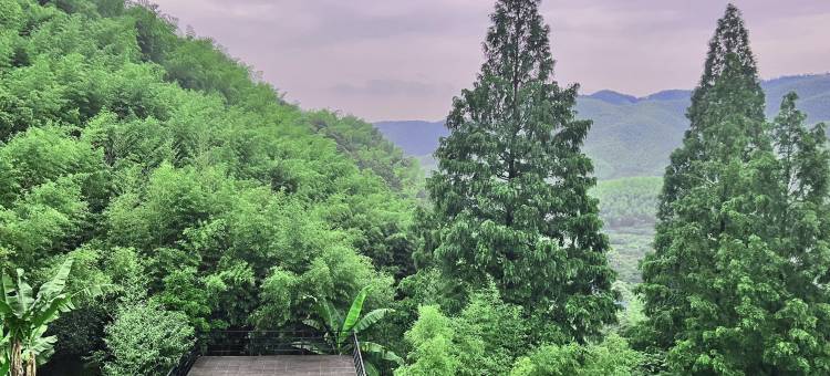 莫干山雨菲客栈(仙潭村风景区店)图片