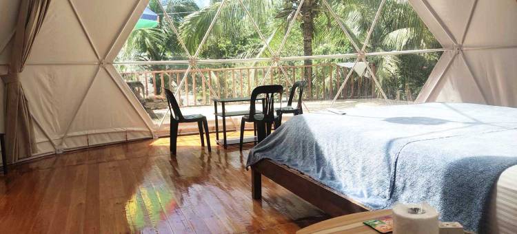 生态树屋豪华露营服务(ECO-TREEHOUSE GLAMPING SERVICES)图片
