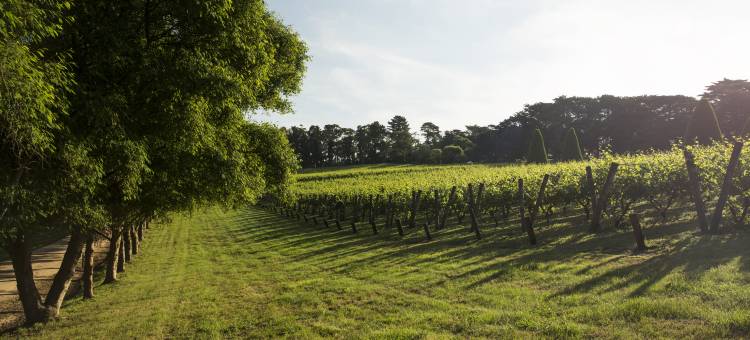 兰斯莫尔林登德雷红山酒店(Lancemore Lindenderry Red Hill)图片