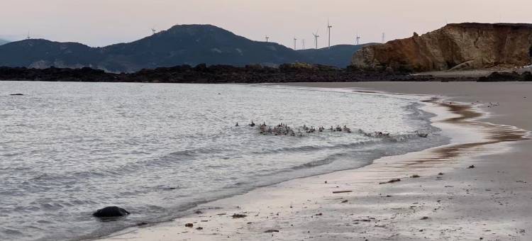 平潭县沧澜聚客栈图片