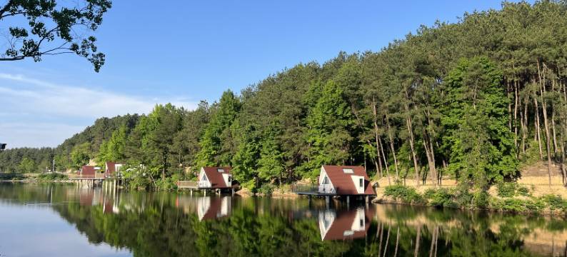 紫云山・星空庄园〡Star Manor 庄园度假美宿图片