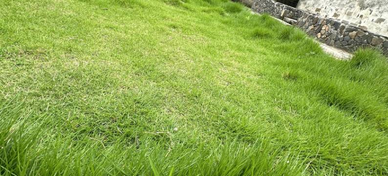 查济南山缘客栈图片