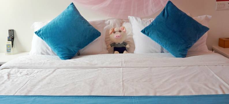 北海雨果的花园别墅(北海银滩店)图片