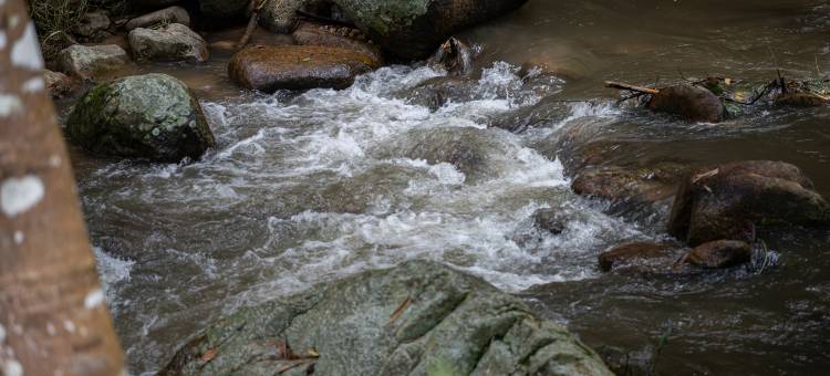 因达达纳美甘榜(Inthada at Mae Kampong)图片