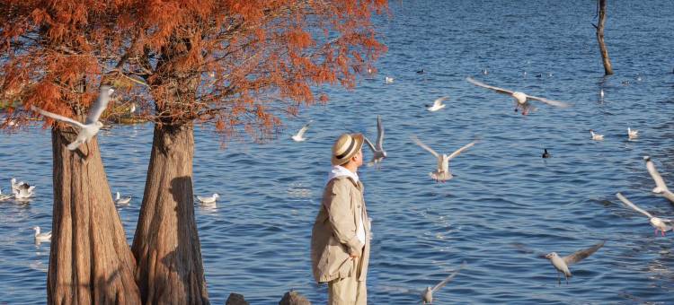 阿凯缇娅·安止樱落海景度假酒店图片