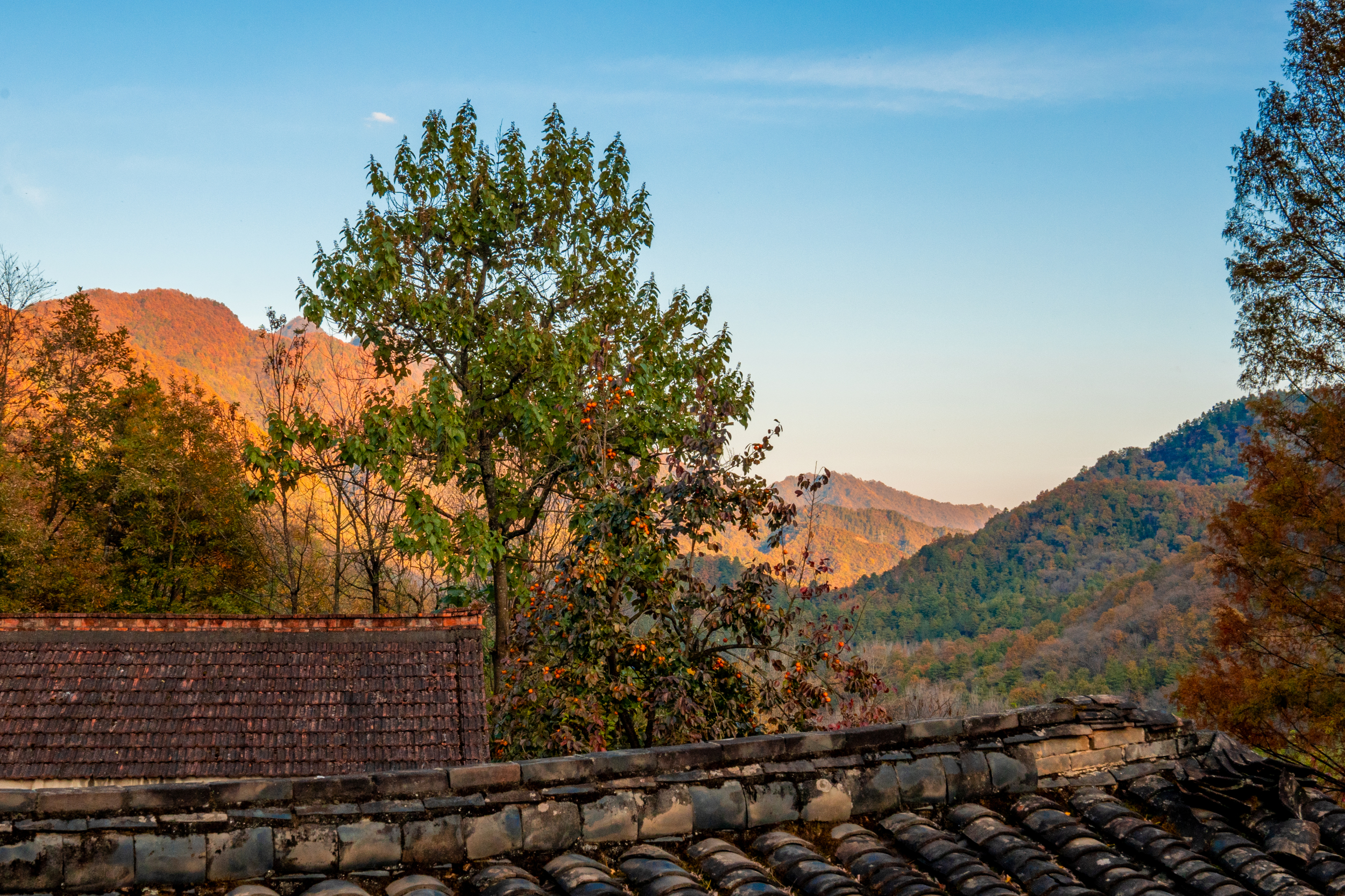 Liuba Mountain and Twelve Habits Over view