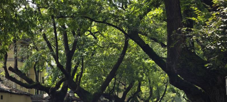 REMAX热麦电竞酒店(南京玄武湖颐和路店)图片