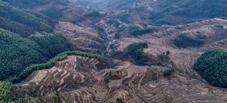 拾光贰号客栈(丽水云和梯田景区店)图片