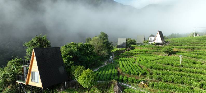 齐云谷民宿图片