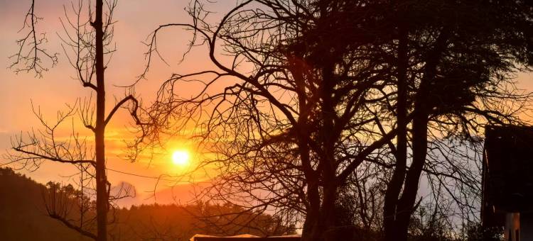 余姚四明山茶落归山民宿图片