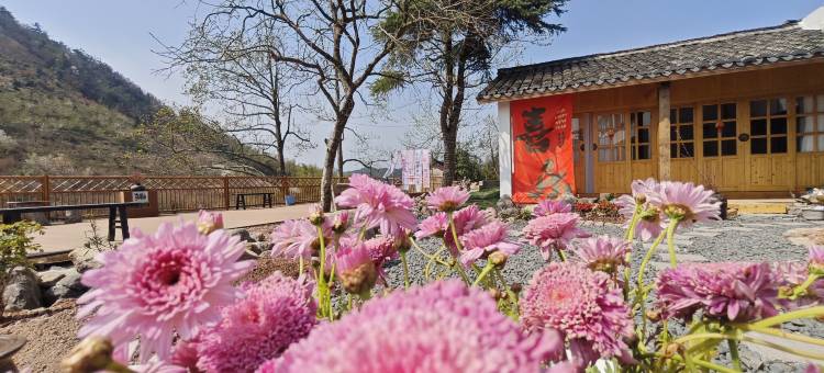 余姚四明山茶落归山民宿图片