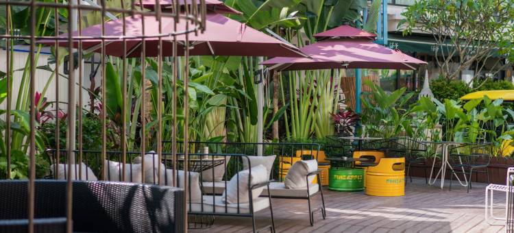 西双版纳悦莲庄菠萝度假酒店图片