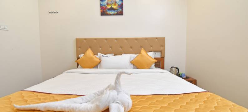 卡南公寓(CANNAN RESIDENCY)图片