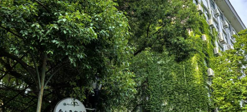 南京师范大学南山专家楼图片