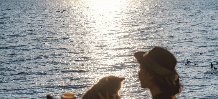 阿凯缇娅·安止风随花开海景度假酒店图片