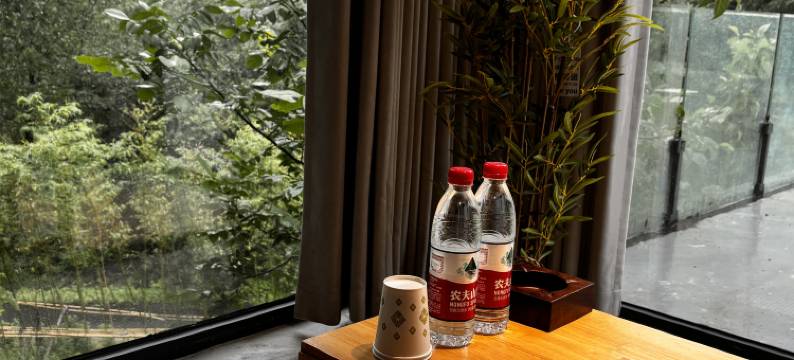 君倾望山月民宿图片