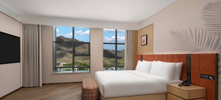 山南格桑路希尔顿花园酒店图片