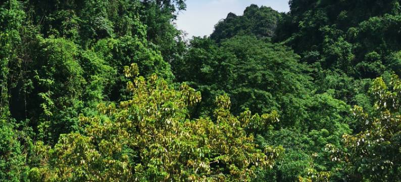 妙享天空之境酒店(阳朔西街千古情景区店)图片