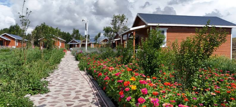 昭苏马场驿站图片