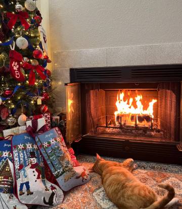 隐逸·了凡山居 Boutique Inn·观景禅院别院(五台山景区店)图片